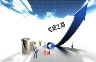 电子商务专业毕业生职业选择 聚焦商务服务领域
